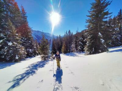 Backcountry skiing